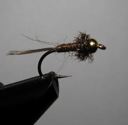 ���� ����� Caddis Larva   ������ � 10